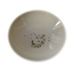 Blaue Lilie / Blauer Lotus - Samen