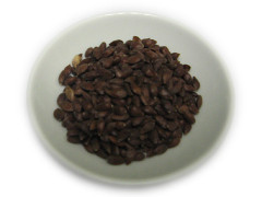 Ephedra Nevadensis Samen