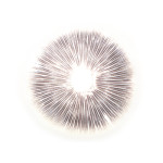 Copelandia Hawaii Lösung