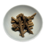 Silene - Traumwurzel